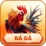 đá gà alo789