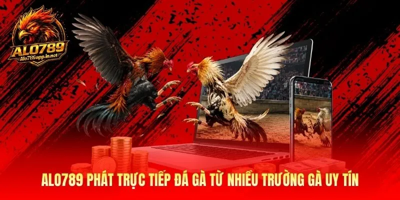 Alo789 phát trực tiếp đá gà từ nhiều trường gà uy tín