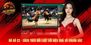 Đá Gà C2 - Tìm Hiểu Luật Sới Gà Chuẩn Xác 2026