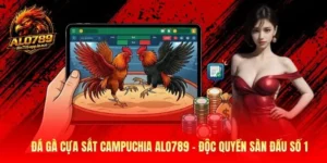 Đá Gà Cựa Sắt Campuchia Alo789 - Độc Quyền Sàn Đấu Số 1