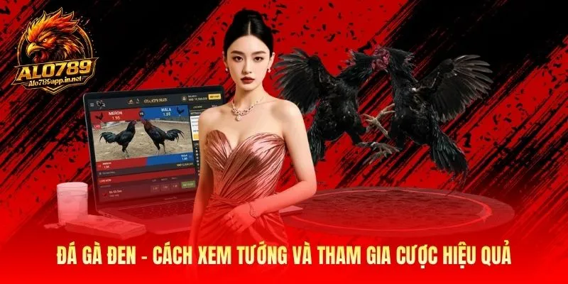 Đá Gà Đen - Cách Xem Tướng Và Tham Gia Cược Hiệu Quả