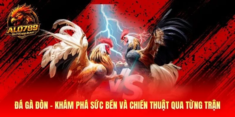 Đá Gà Đòn Alo789 - Khám Phá Chiến Thuật Qua Từng Trận