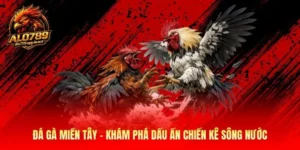 Đá Gà Miền Tây - Dấu Ấn Chiến Kê Miền Sông Nước