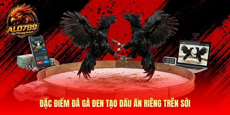 Đặc điểm đá gà đen tạo dấu ấn riêng trên sới