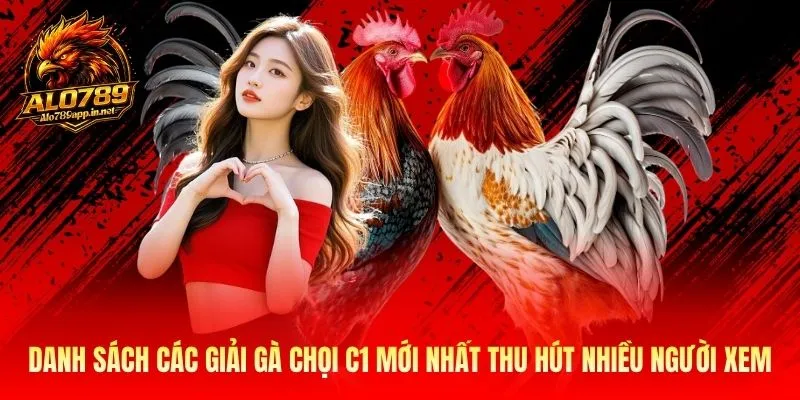 Danh sách các giải gà chọi C1 mới nhất thu hút nhiều người xem