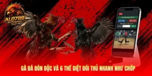 Gà Đá Đòn Độc Alo789 Và 6 Đòn Thế Hiểm Độc