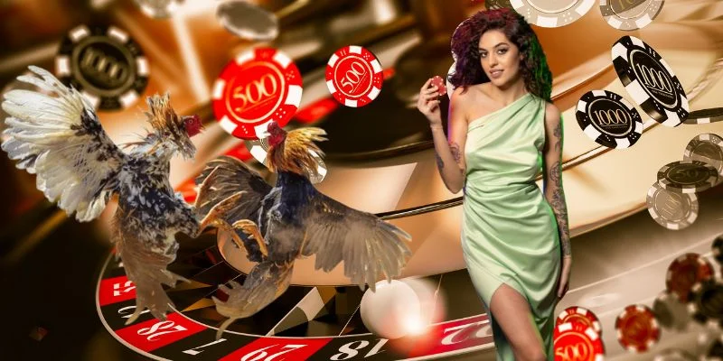 Tổng quan về sảnh rồng trong game bài poker
