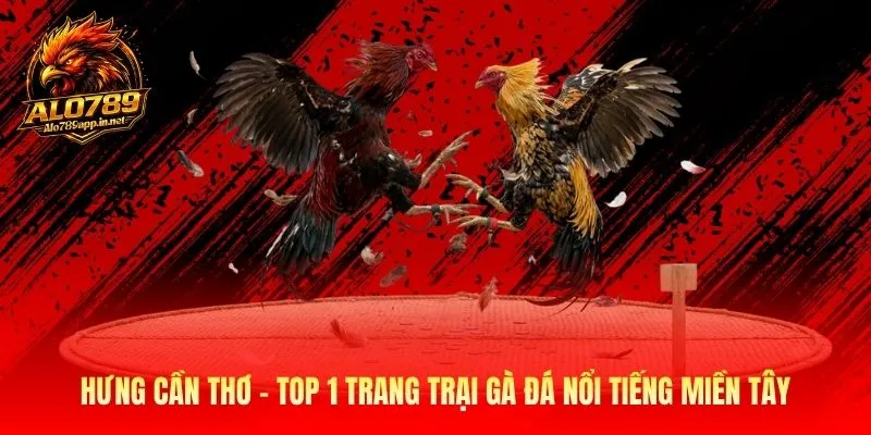 Hưng Cần Thơ - alo789