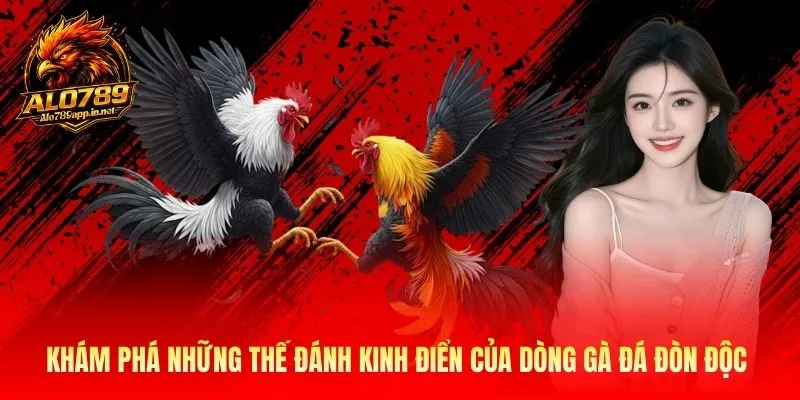 Khám phá những thế đánh kinh điển của dòng gà đá đòn độc