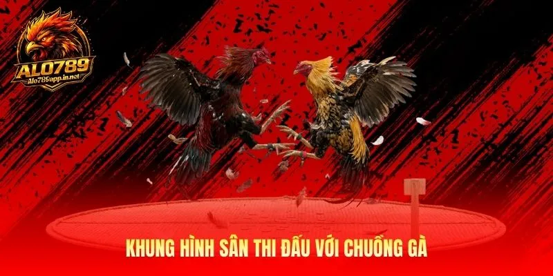 Khung hình sân thi đấu với chuồng gà