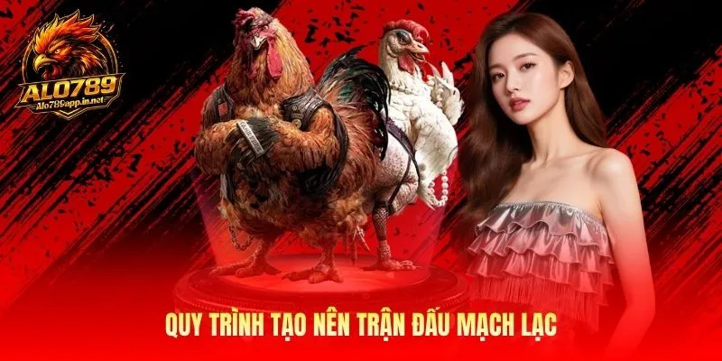 Quy trình tạo nên trận đấu mạch lạc