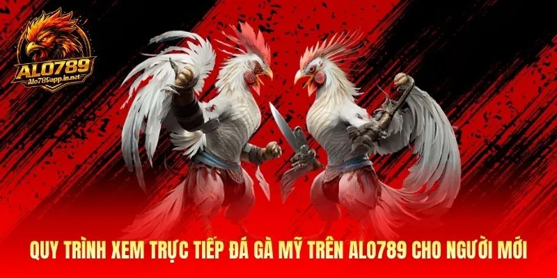 Quy trình xem trực tiếp đá gà Mỹ trên Alo789 cho người mới 