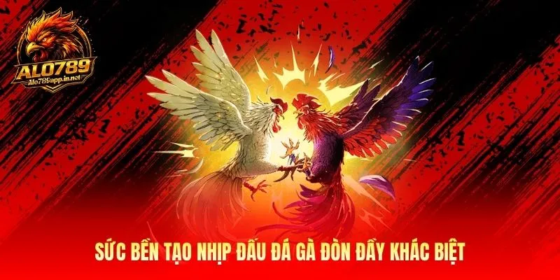 Sức bền tạo nhịp đấu đá gà đòn đầy khác biệt