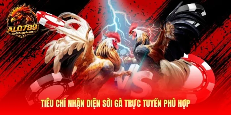 Tiêu chí nhận diện sới gà trực tuyến phù hợp