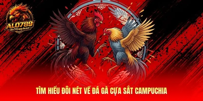 Tìm hiểu đôi nét về đá gà cựa sắt Campuchia