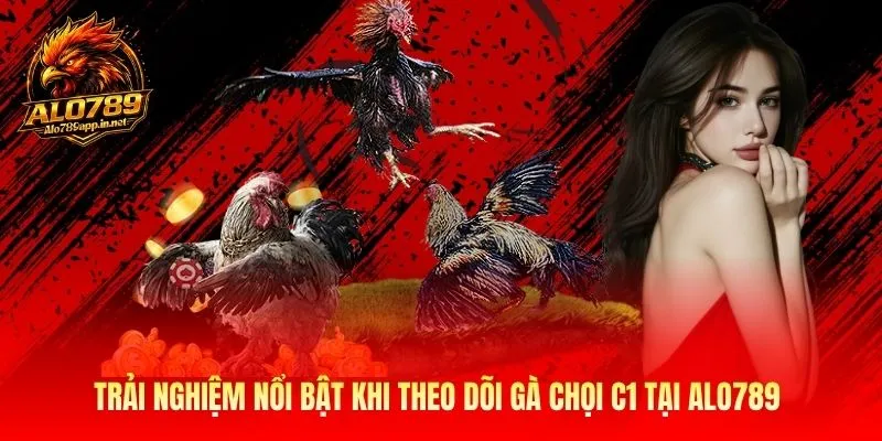 Trải nghiệm nổi bật khi theo dõi gà chọi C1 tại Alo789