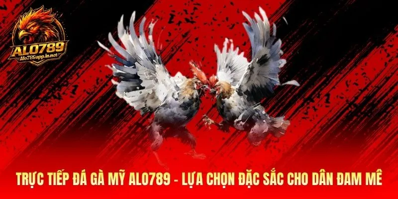Trực Tiếp Đá Gà Mỹ Alo789 - Lựa Chọn Đặc Sắc Cho Dân Đam Mê